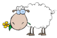 lamb logo